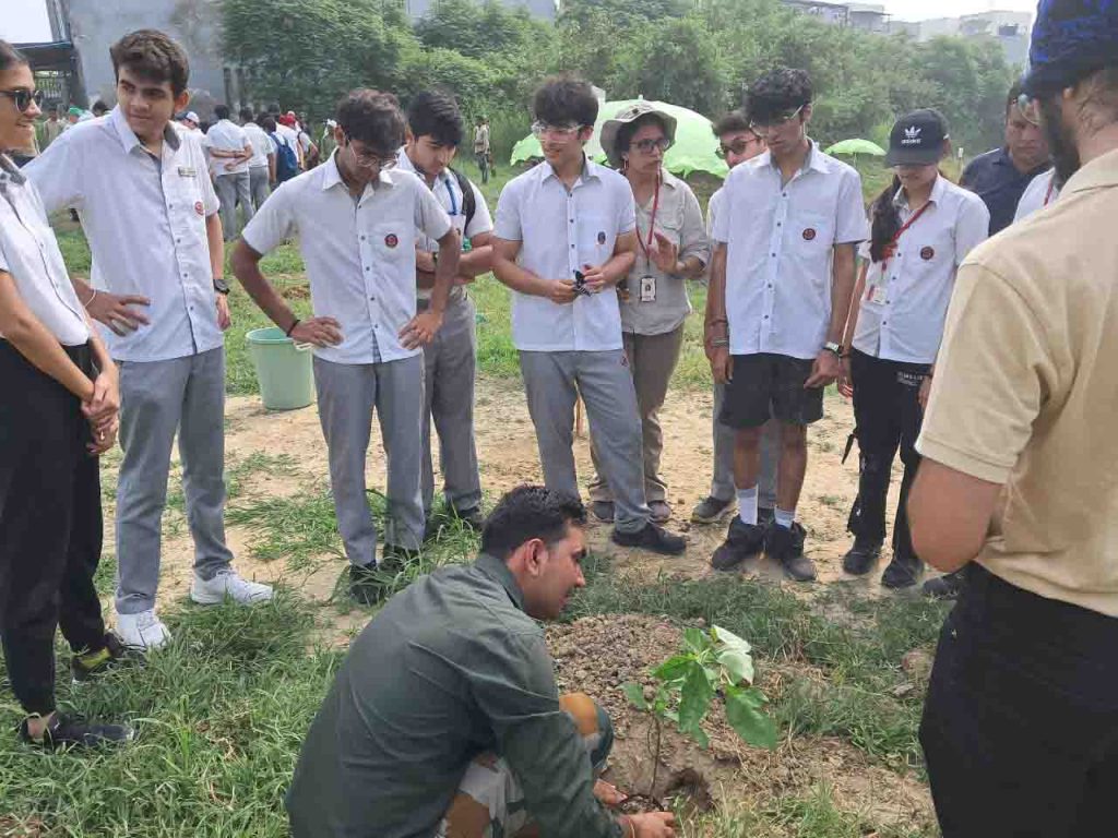 tree plantation drive